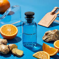 Louis Vuitton Afternoon Swim Eau de Parfum 100ml – Unisex Citrus Fragrance