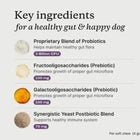 2 PACK PetLab Co. (PetLabCo.) Probiotic Soft Chew For Dogs New