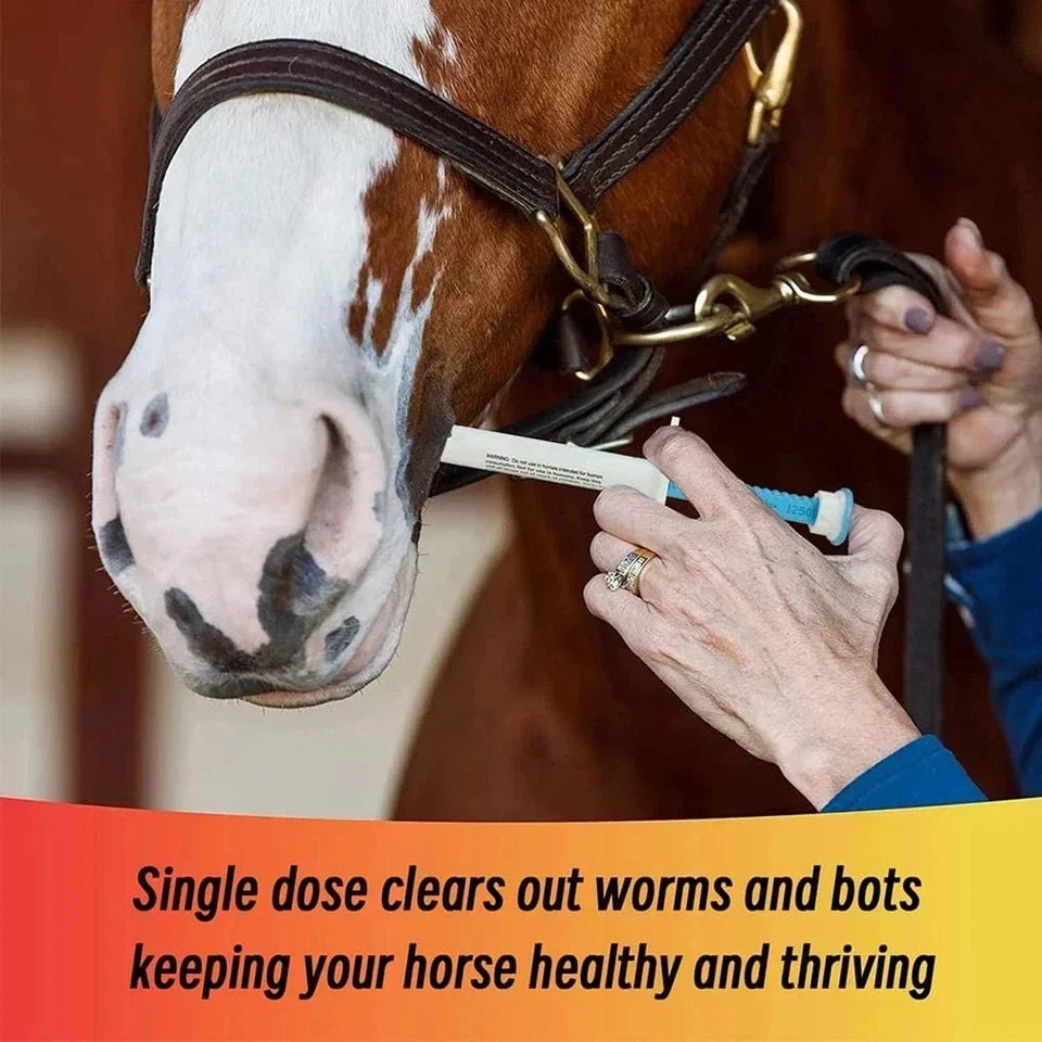 4 Pack New Paste Horse Dewormer Apple Flavor Exp 10/27 Free Shipping USA